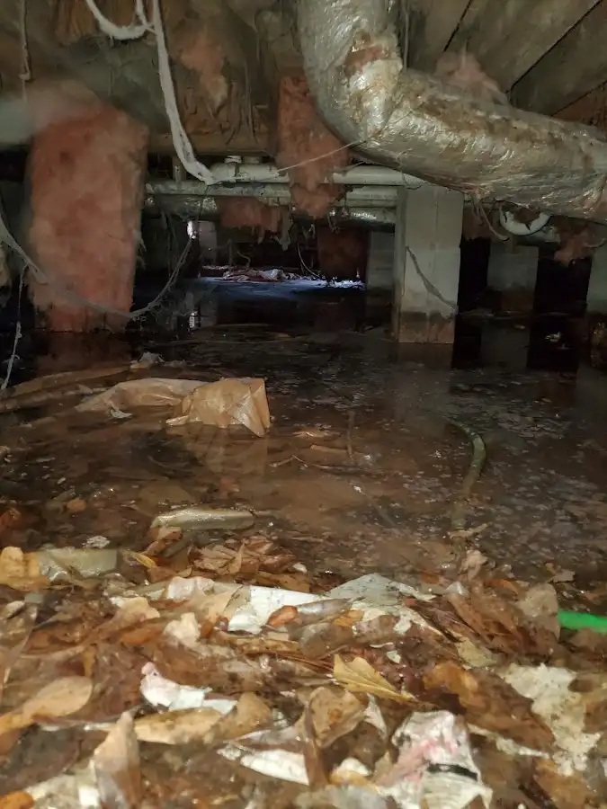 Crawl space flood assessment for Leak Detection & Repair in Windham