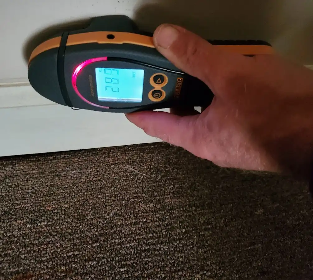 Moisture detection at baseboard during Sewage Cleanup & Sanitation in Windham